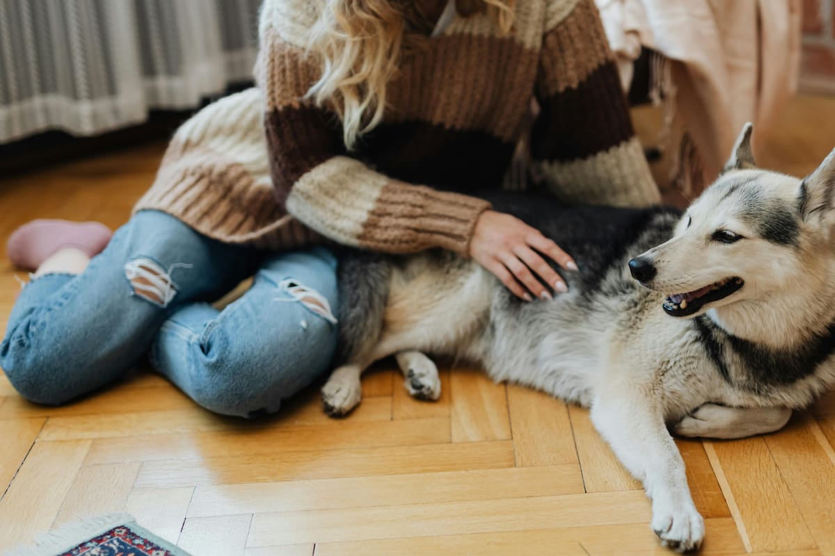 “Tener una mascota impacta positivamente en el bienestar emocional en cualquier persona de cualquier edad” afirma la neuropsicóloga Lucía Crivelli
