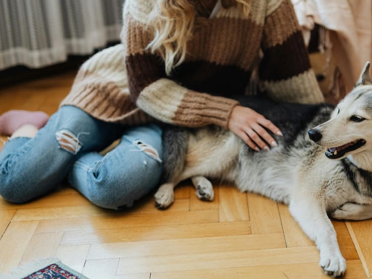 “Tener una mascota impacta positivamente en el bienestar emocional en cualquier persona de cualquier edad” afirma la neuropsicóloga Lucía Crivelli