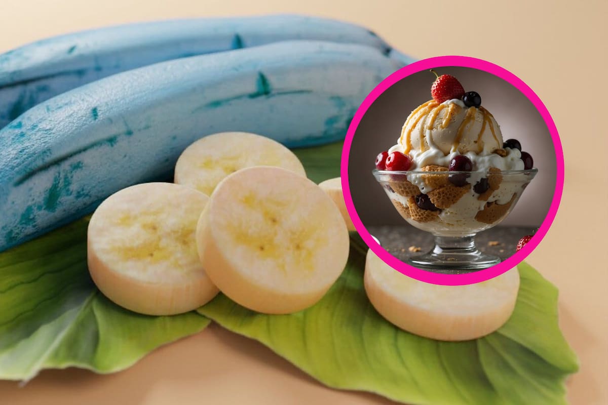Blue Java Banana: ¿Te imaginas cuál es el sabor de esta fruta?