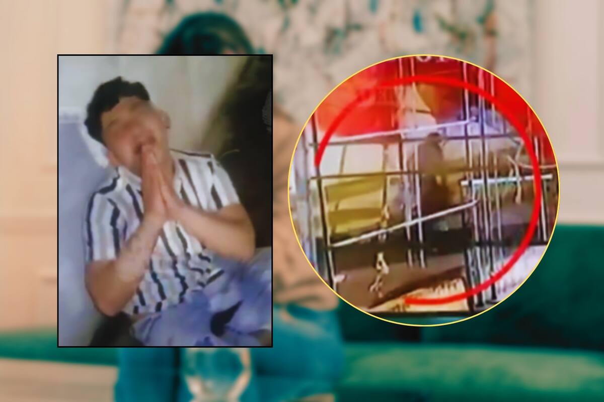 (VIDEO) Golpeó brutalmente a su novia con un tubo y luego lloró para que no lo acusaran con su mamá