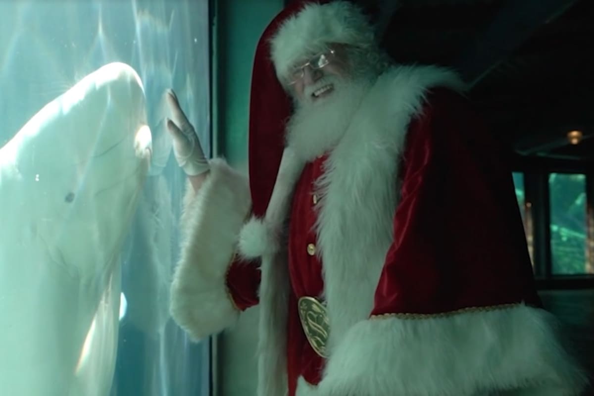 Navidad entre orcas, renos y un millón de luces