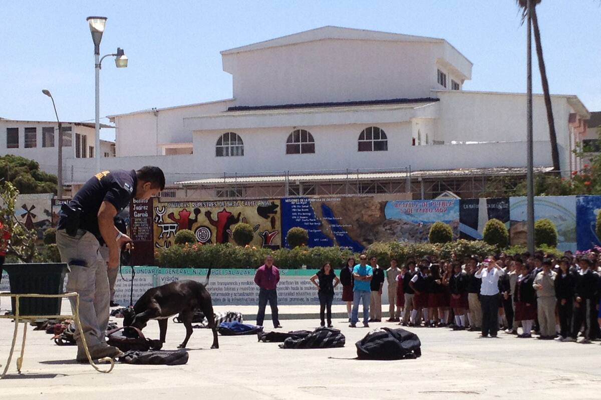 Suspenden clases en dos escuelas de Tijuana por amenazas
