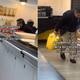 Empleada conmueve al ceder su lunch a un adulto mayor que pedía comida