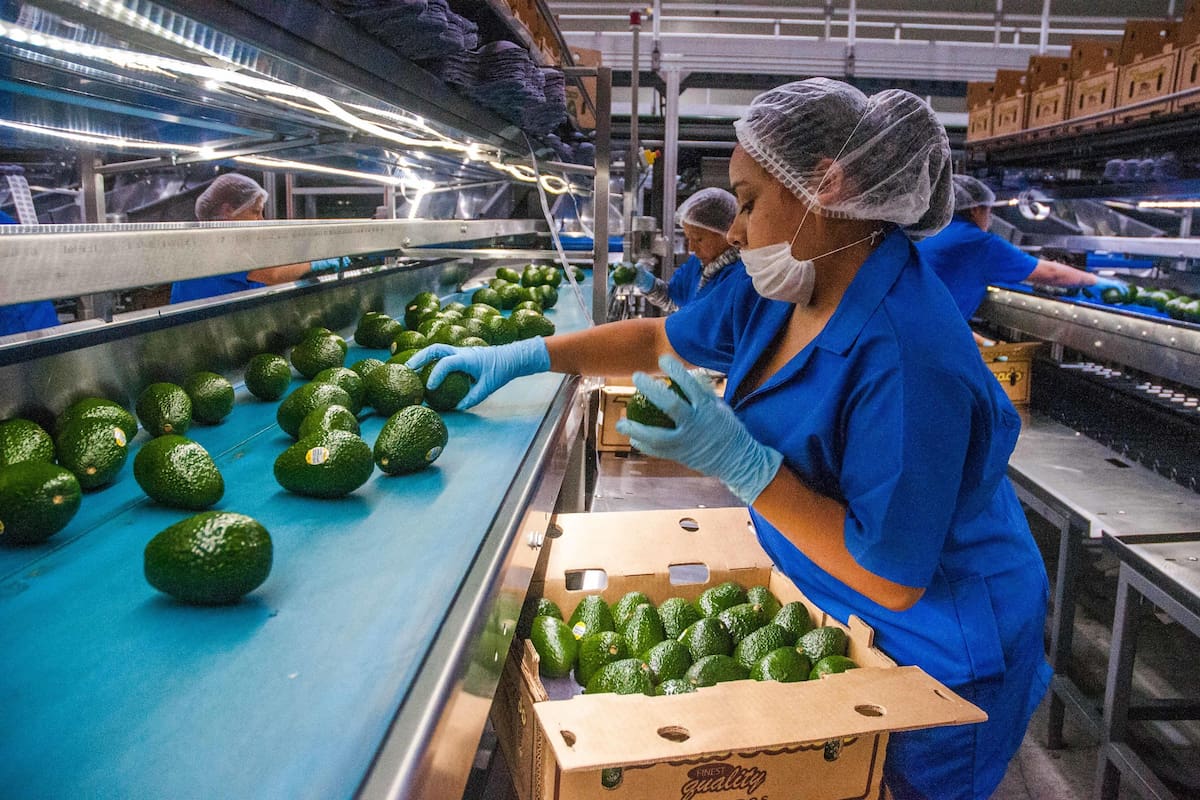 Productores prevén fuertes daños en sector agroalimentario por aranceles de Trump