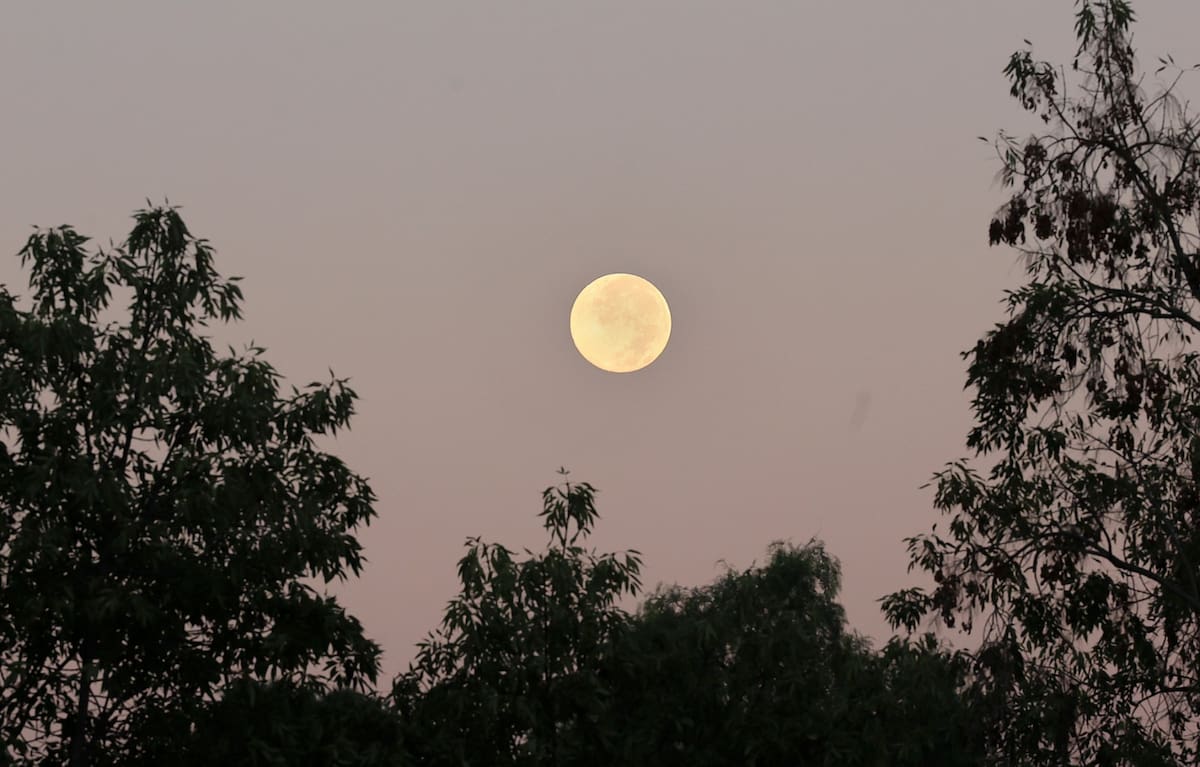 La Luna del Cazador fue visible en Tijuana durante la noche del domingo y la madrugada del lunes. Foto: Sergio Ortiz