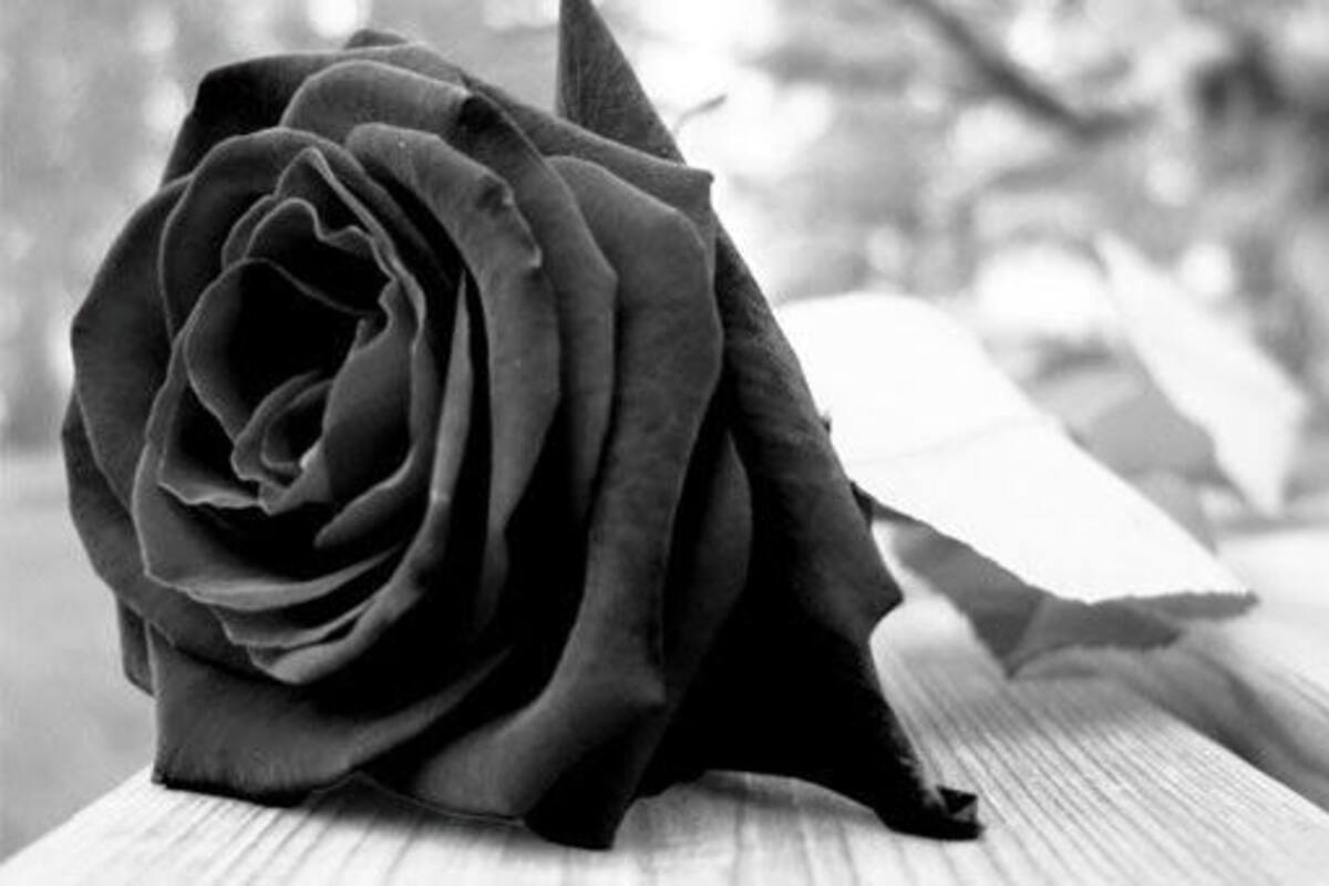 Fallece Francisco Castillo Álvarez, a los 77 años