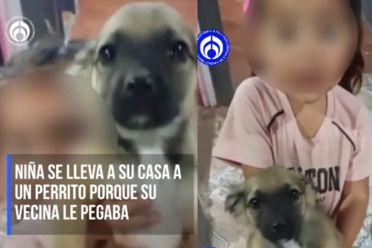 Niña rescata a perrito porque, según ella, su vecina le pegaba y conmueve a las redes sociales