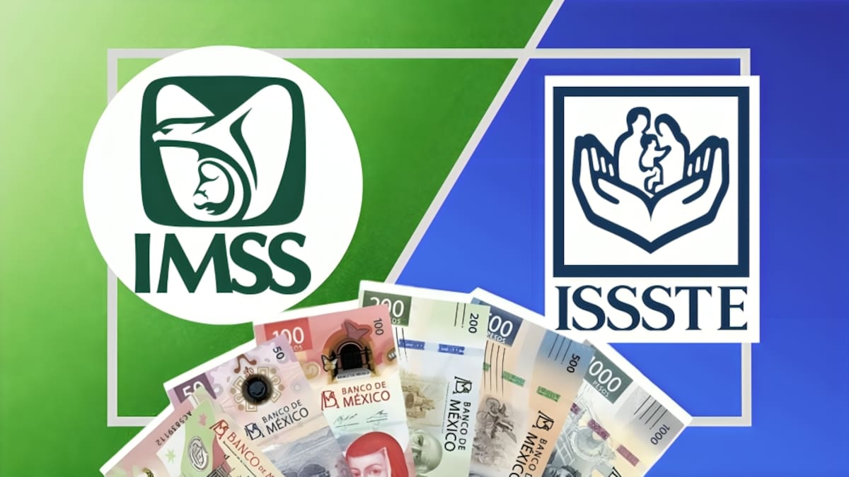 Senado revisa propuesta que facilitaría la movilidad laboral sin perder derechos del IMSS o ISSSTE