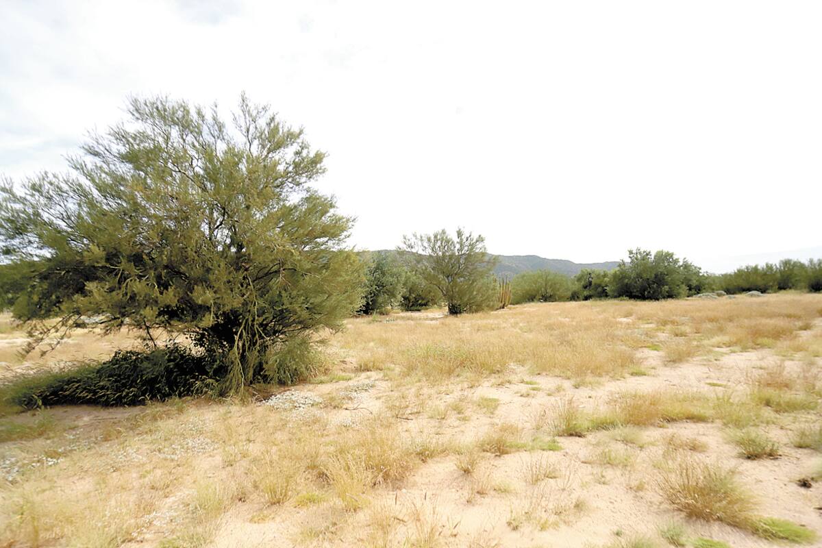 Esperan terminar obras en panteón en diez días