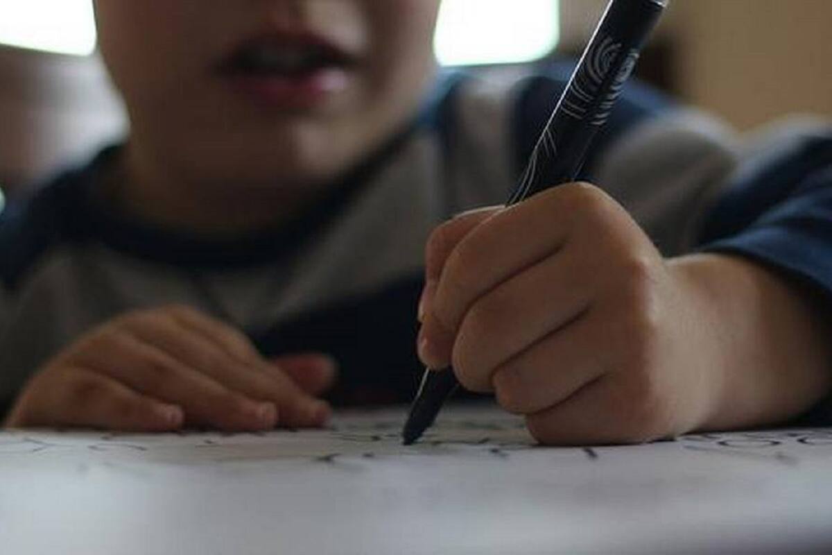 VIRAL: Le pidieron dibujar seres vivos y no vivos y su respuesta causó impresión en redes