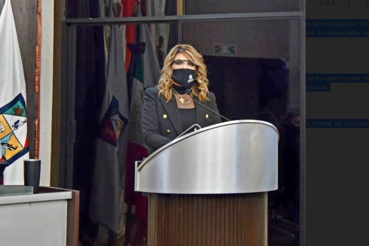 Promoverá diputada denuncia vía digital