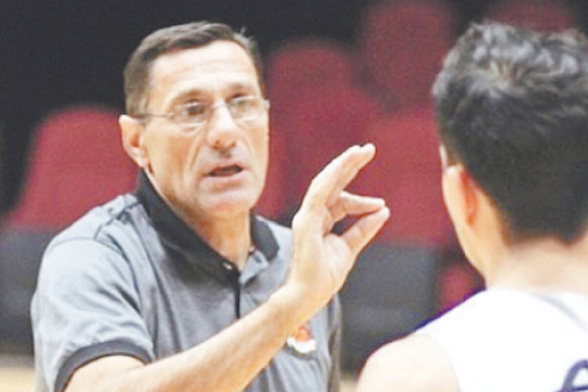 Timonel sudamericano