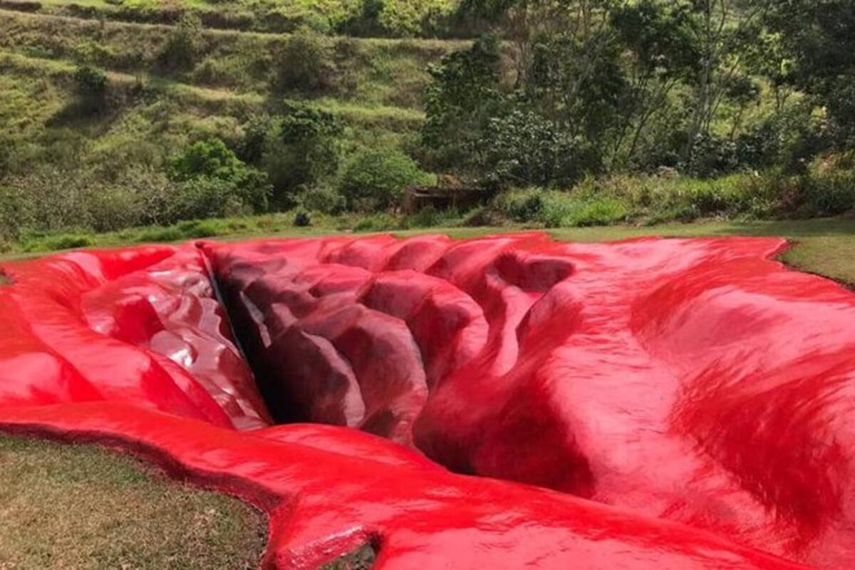"Diva", la obra de arte que está causando polémica en el mundo