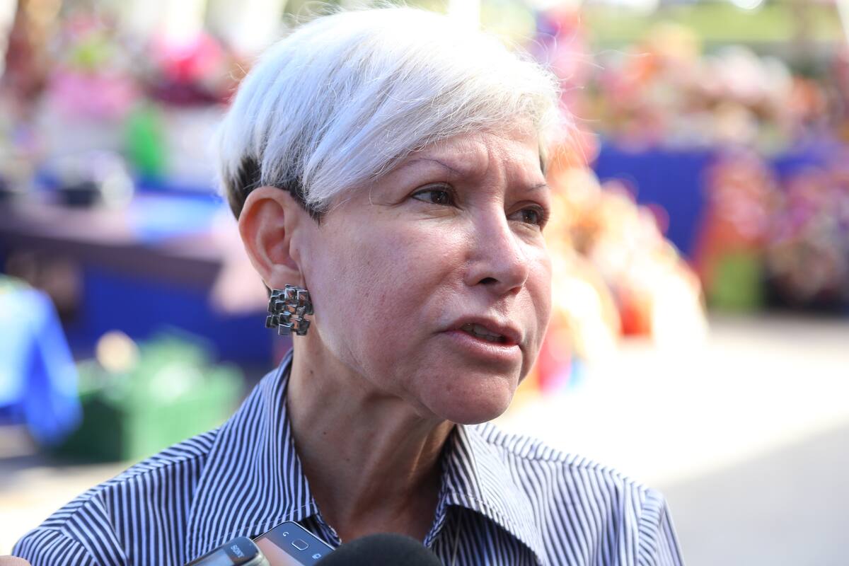 Trabajadores de Salud tienen carencias, pero están listos para epidemia: Virginia Noriega
