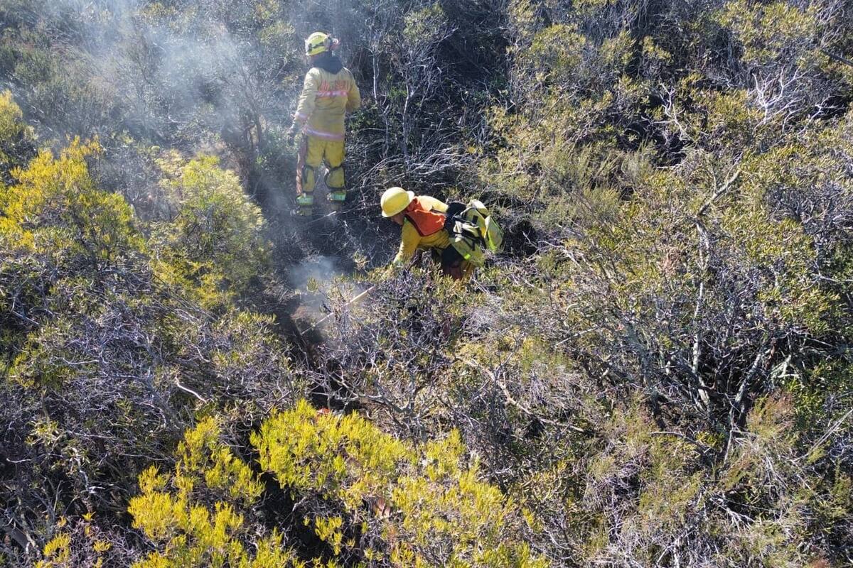 Empresarios ven positiva coordinación