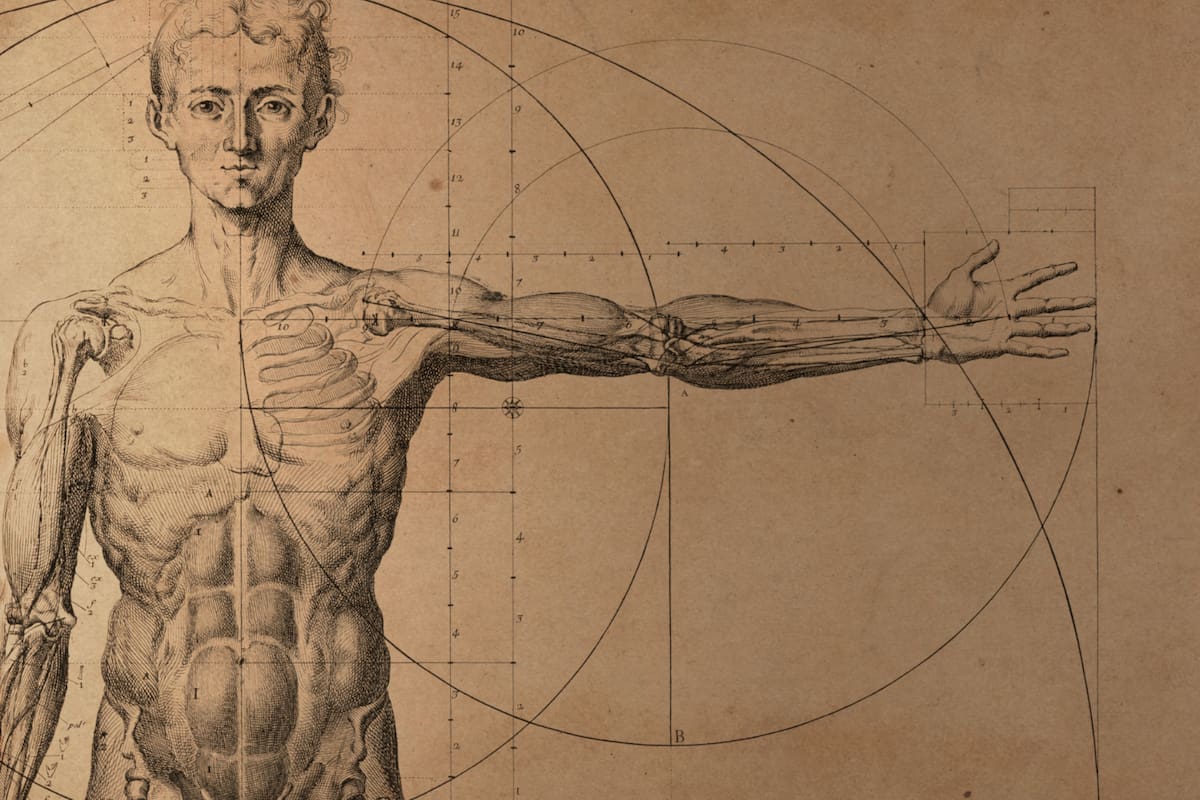 Herramienta científica revela todos los medicamentos presentes en el cuerpo humano