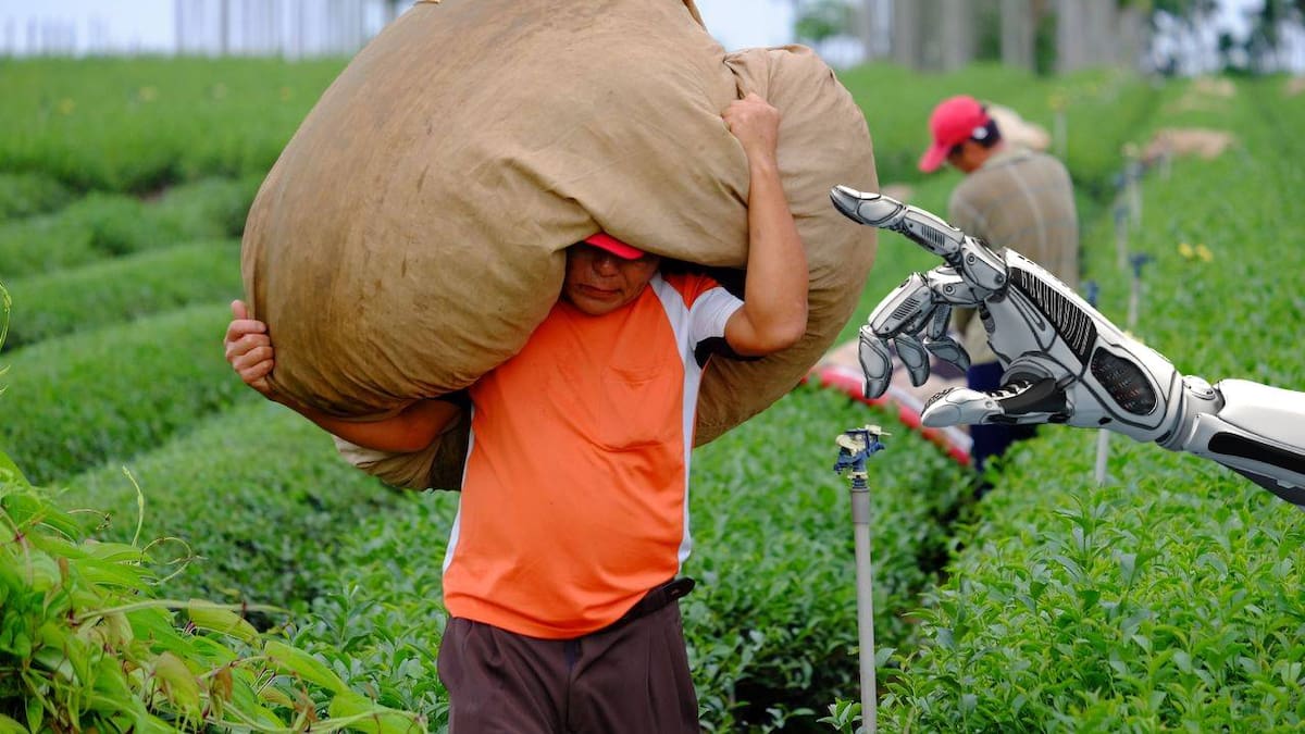 Investigadores crean DragonBot, un robot agrícola de bajo costo que identifica frutas maduras sin dañarlas y podría transformar la cosecha en México