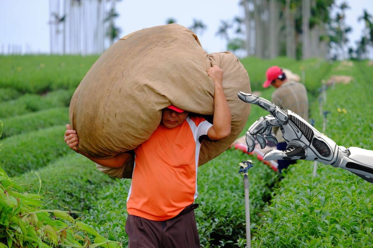 Investigadores crean DragonBot, un robot agrícola de bajo costo que identifica frutas maduras sin dañarlas y podría transformar la cosecha en México