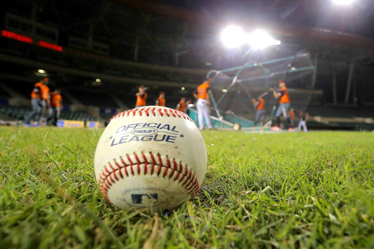 Naranjeros: La tropa del "Vinny" abre temporada en casa