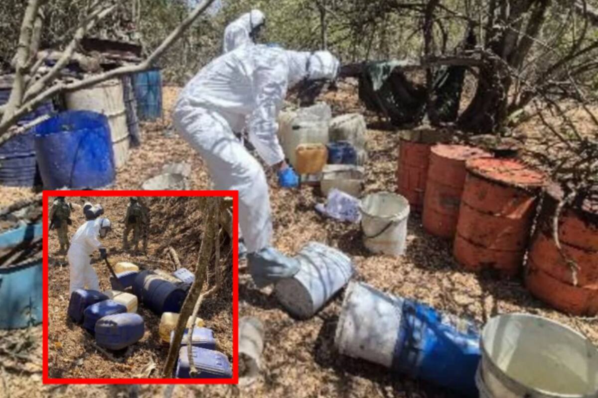 Desmantelan 19 laboratorios clandestinos en Sinaloa tras operativo conjunto de fuerzas federales