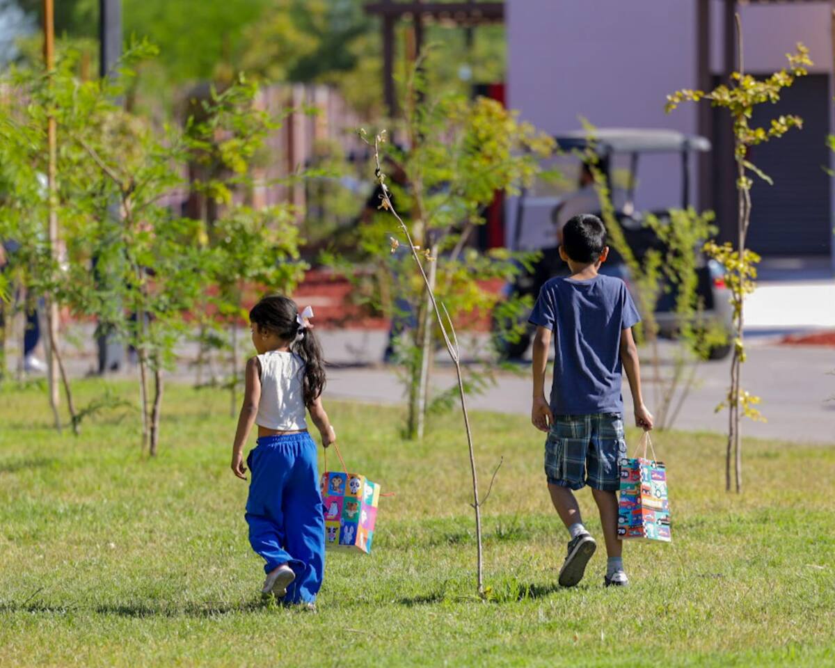 Foto: Javier Gallegos