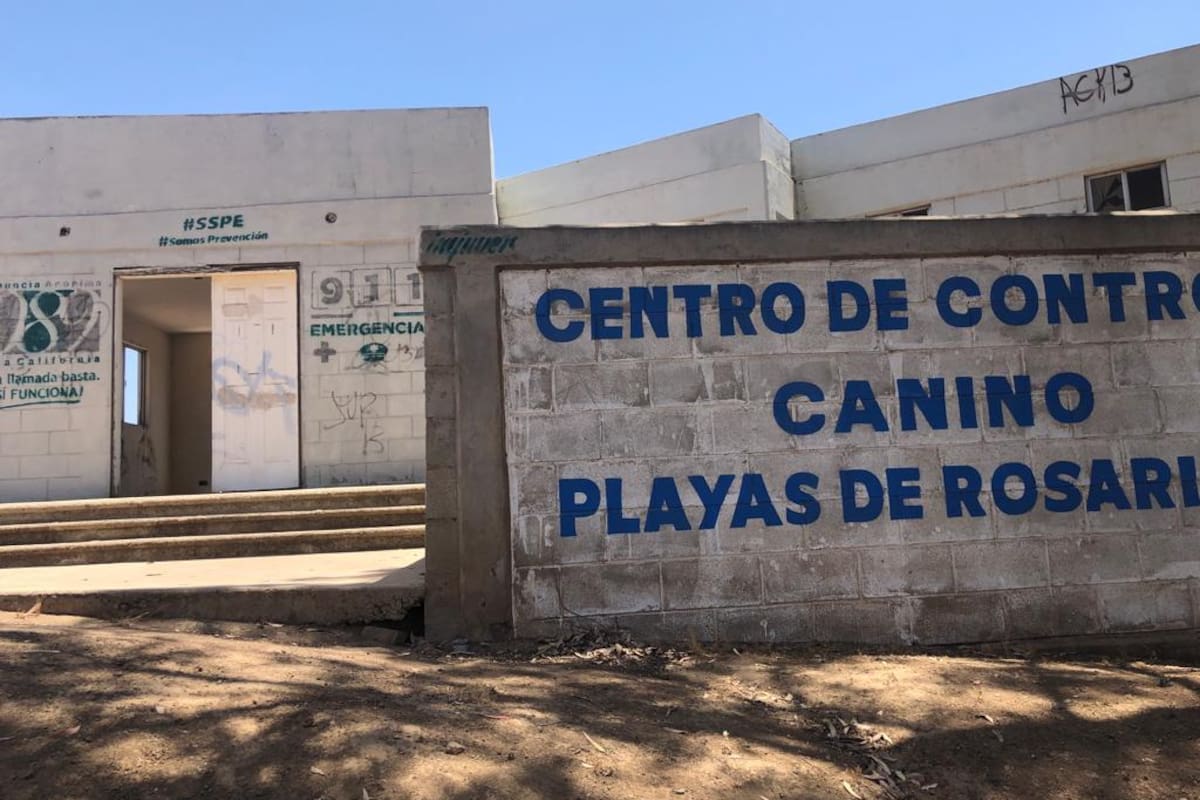 Rinden protesta nueve Inspectores Honorarios de Protección y Control Animal en Rosarito