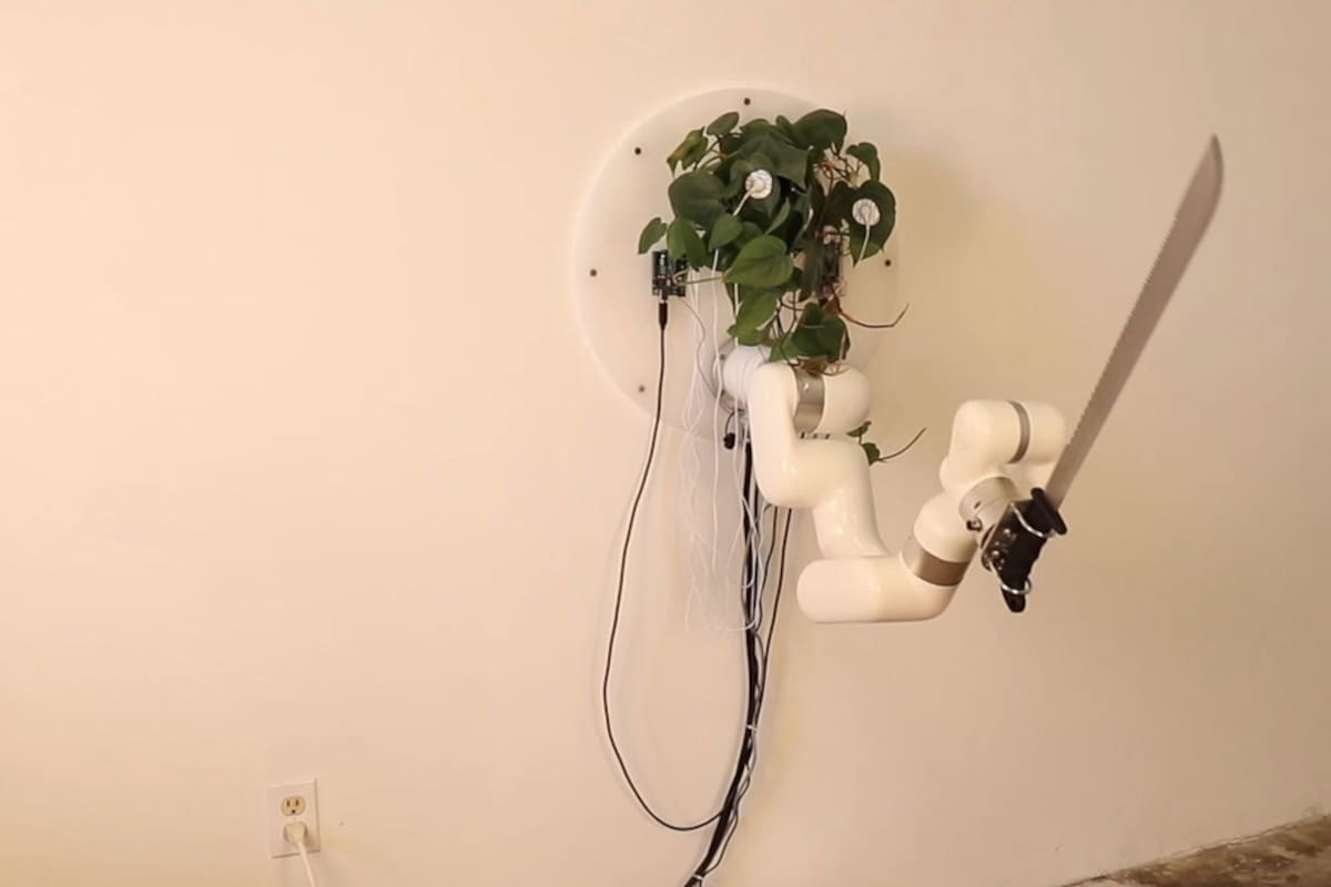 Crean planta 'cíborg' que puede empuñar un machete