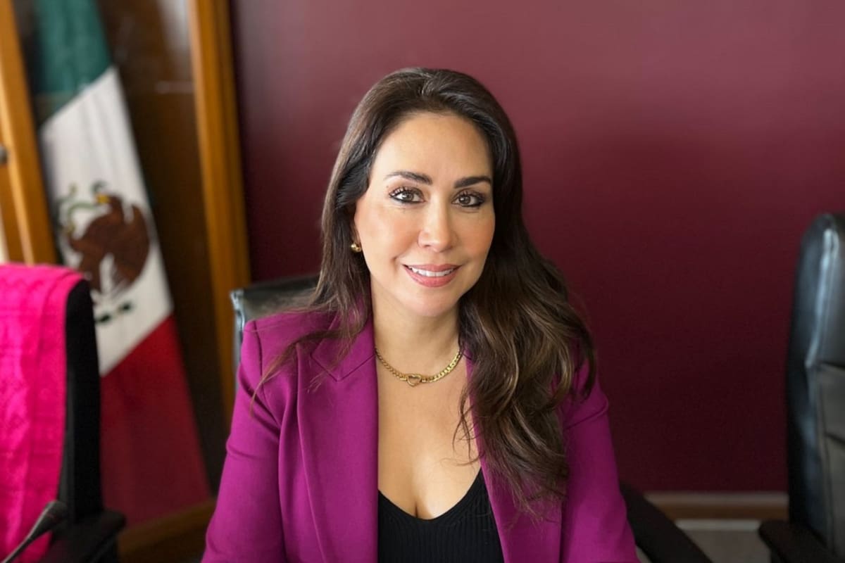 Regidora impulsará mejora regulatoria y gobierno digital