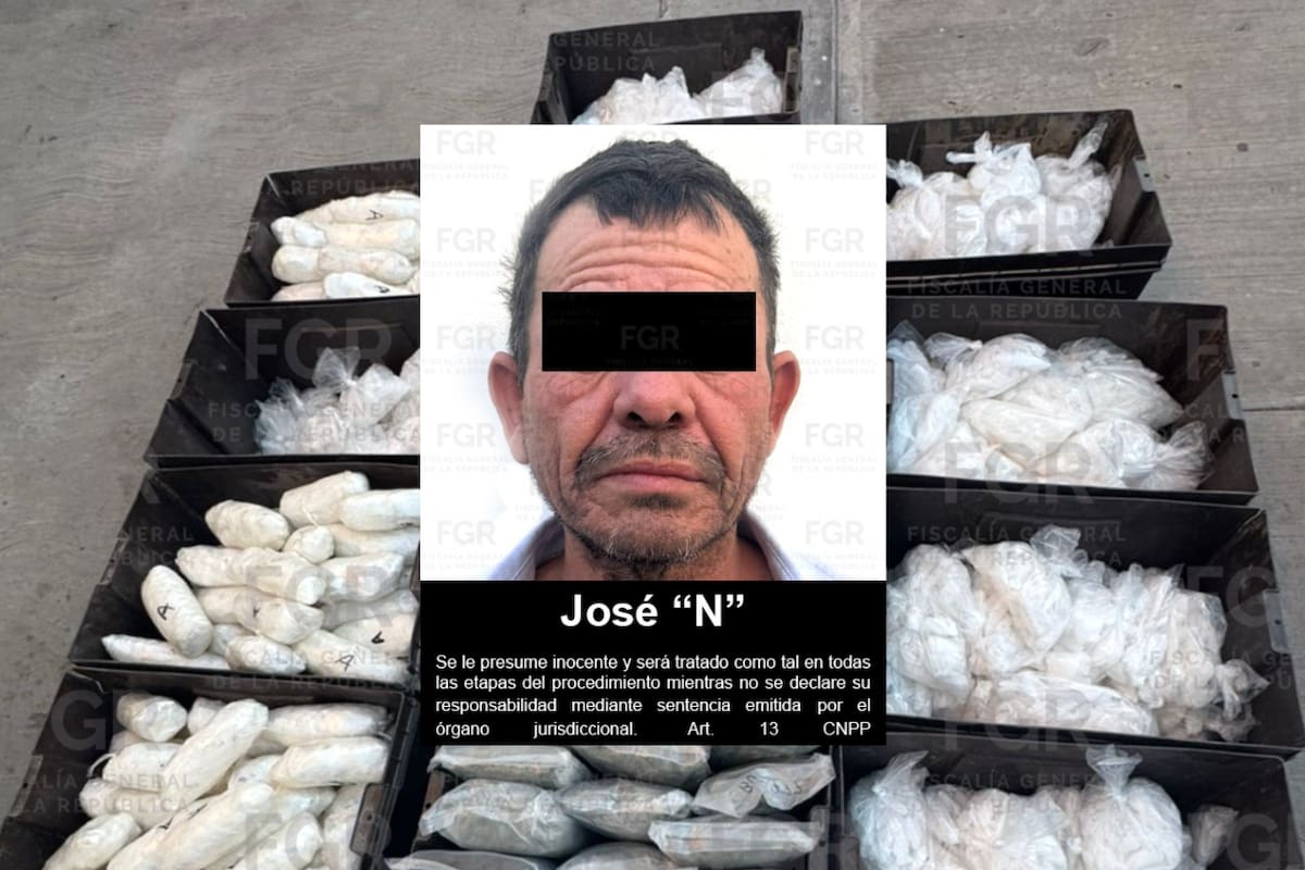 FGR lleva a proceso a una persona asegurada junto con más de 225 kilos de narcóticos