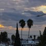 Tras lluvias en Tijuana prevén aumento de temperaturas; esperan hasta 36 °C este fin de semana