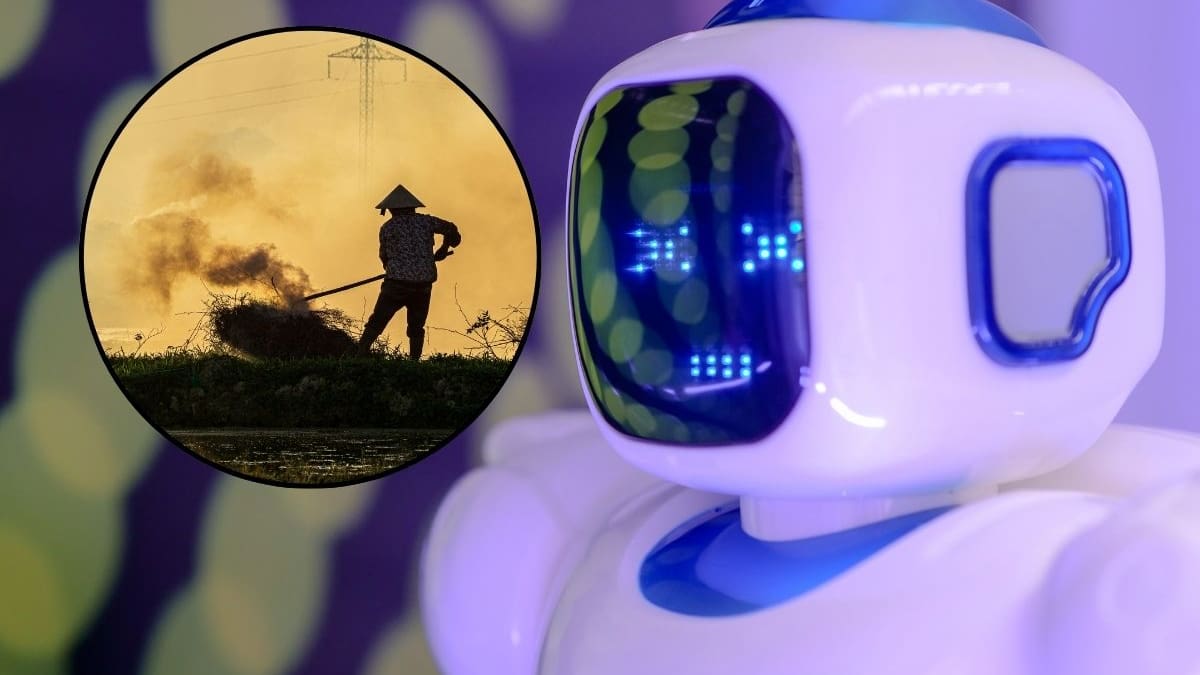 Japón enfrenta una crisis de mano de obra por su población envejecida y por eso lanzó un plan para tener 10 millones de robots con inteligencia artificial operando en hospitales, fábricas y zonas de desastre para 2040
