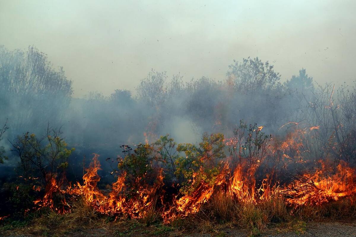 CONAFOR reporta 18 incendios forestales en 10 estados de México