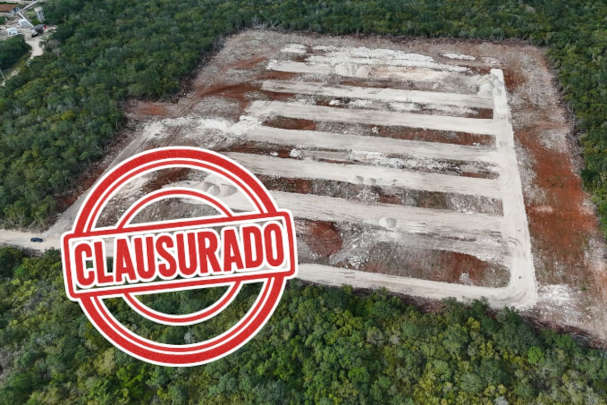 Profepa clausura granja avícola en Hoctún tras devastar 8,9 hectáreas de selva para construir naves industriales