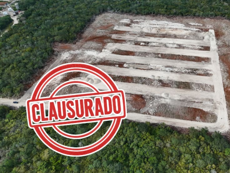 Profepa clausura granja avícola en Hoctún tras devastar 8,9 hectáreas de selva para construir naves industriales