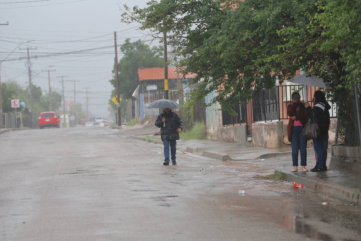 Clima hoy: -5 a 0 grados con heladas en las sierras de Baja California y Sonora