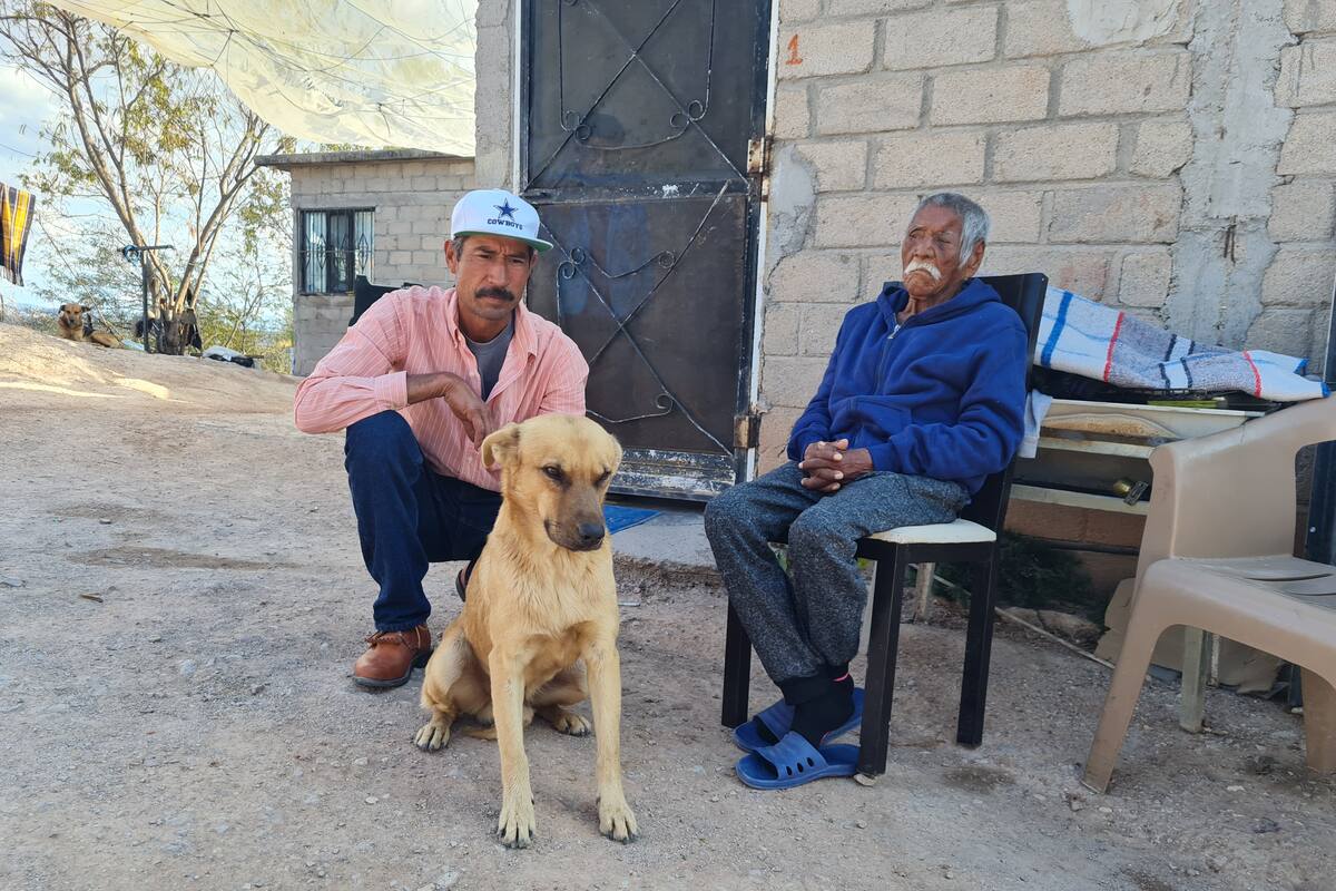 Sonora: “Voló” el “Palomo” hasta hallar a su dueño; la historia de un leal perro