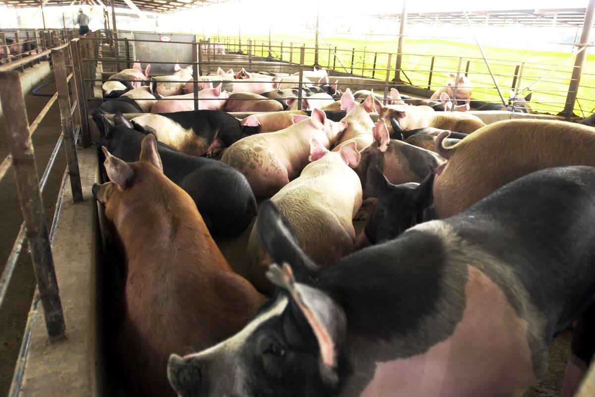 Reclaman productores del Sur de Sonora habrá más gasto con importación ferroviaria