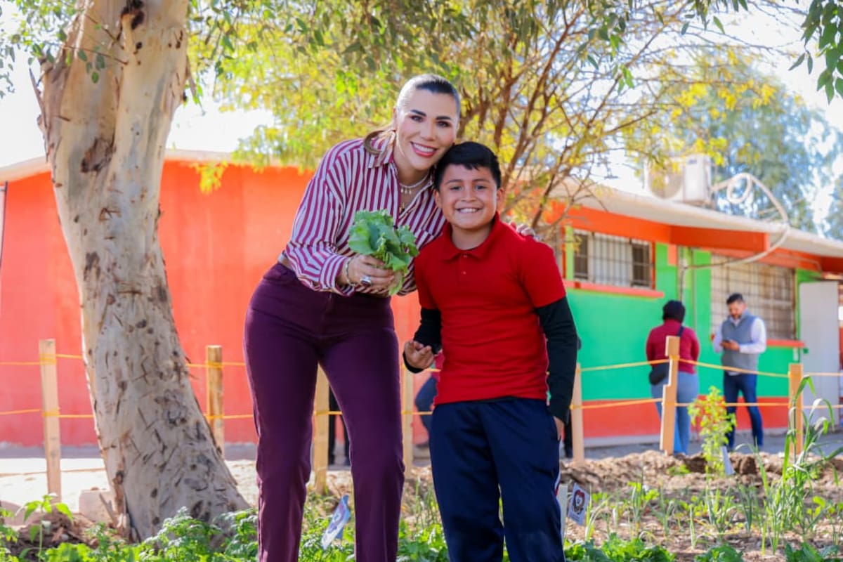 Gobierno de Marina Del Pilar impulsa la salud alimentaria con huertos escolares y comunitarios
