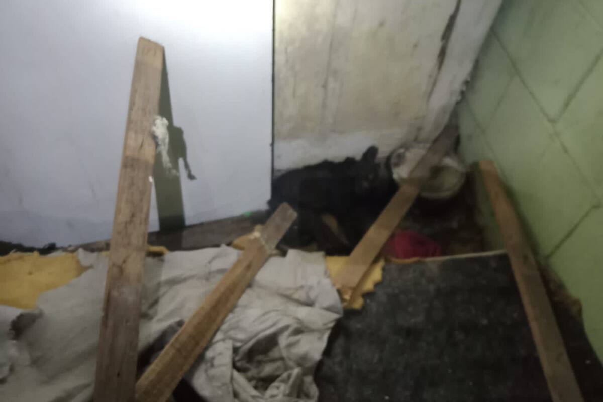 Policía Ecológica atiende reporte ciudadano por maltrato animal