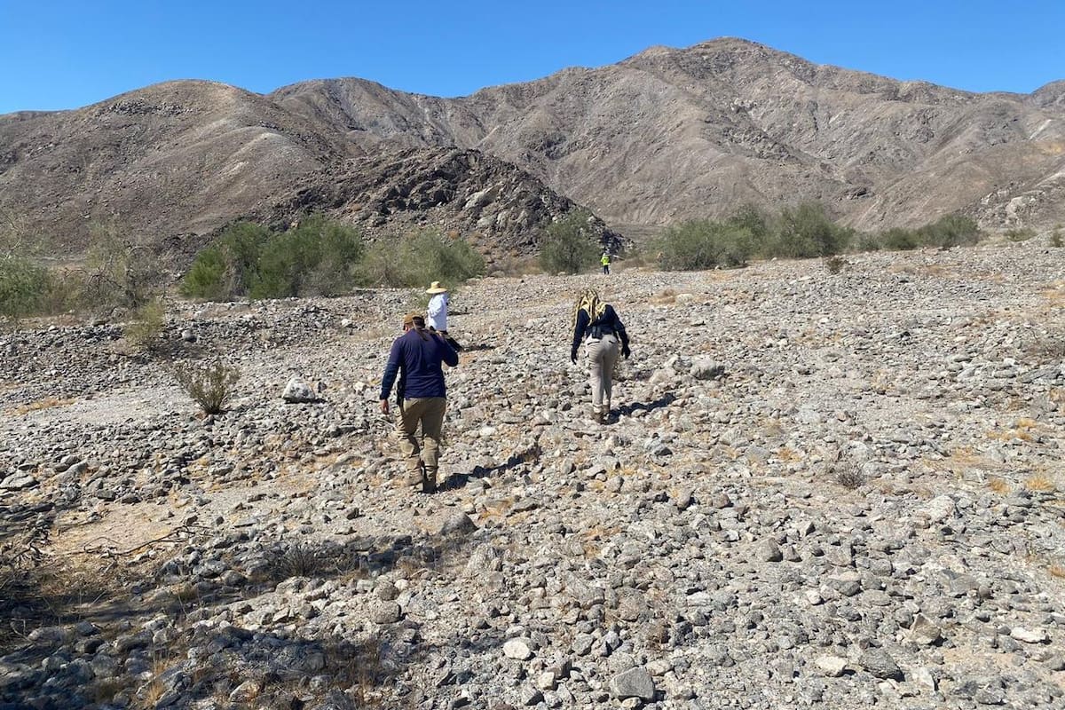 Continúan los trabajos de búsqueda generalizada e individualizada
