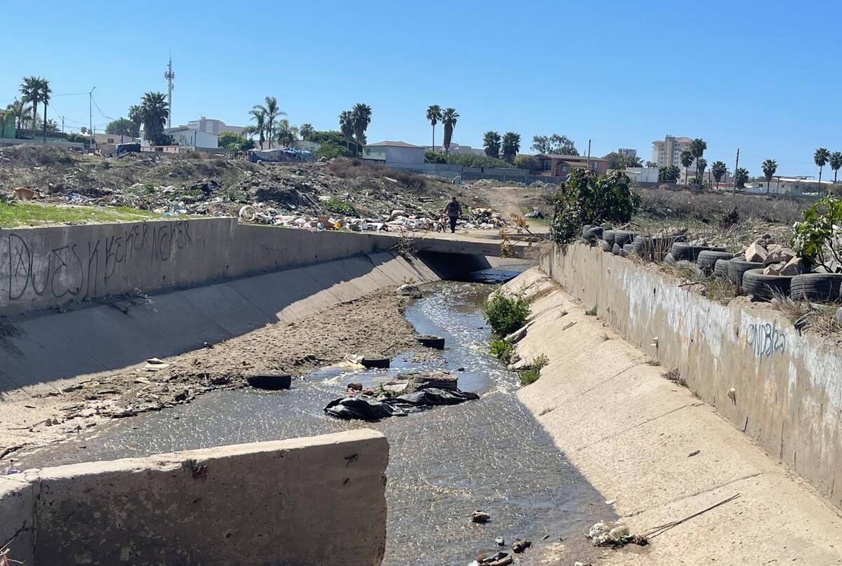 El arroyo cruza por la llamada reserva San Fernando ubicada en la Zona Centro.