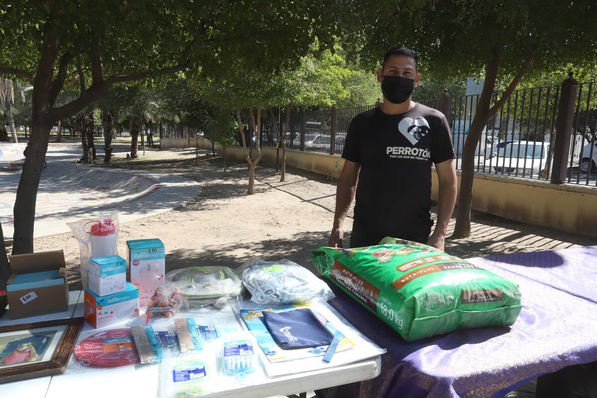 Hoy también hay “Perrotón” para recaudar alimentos para perros y gatos