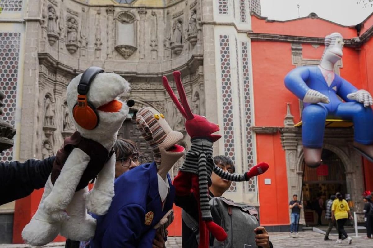 MUSEO 31: Precios, Fechas, Horarios y Actividades