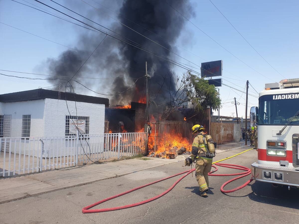 Foto: Cortesía