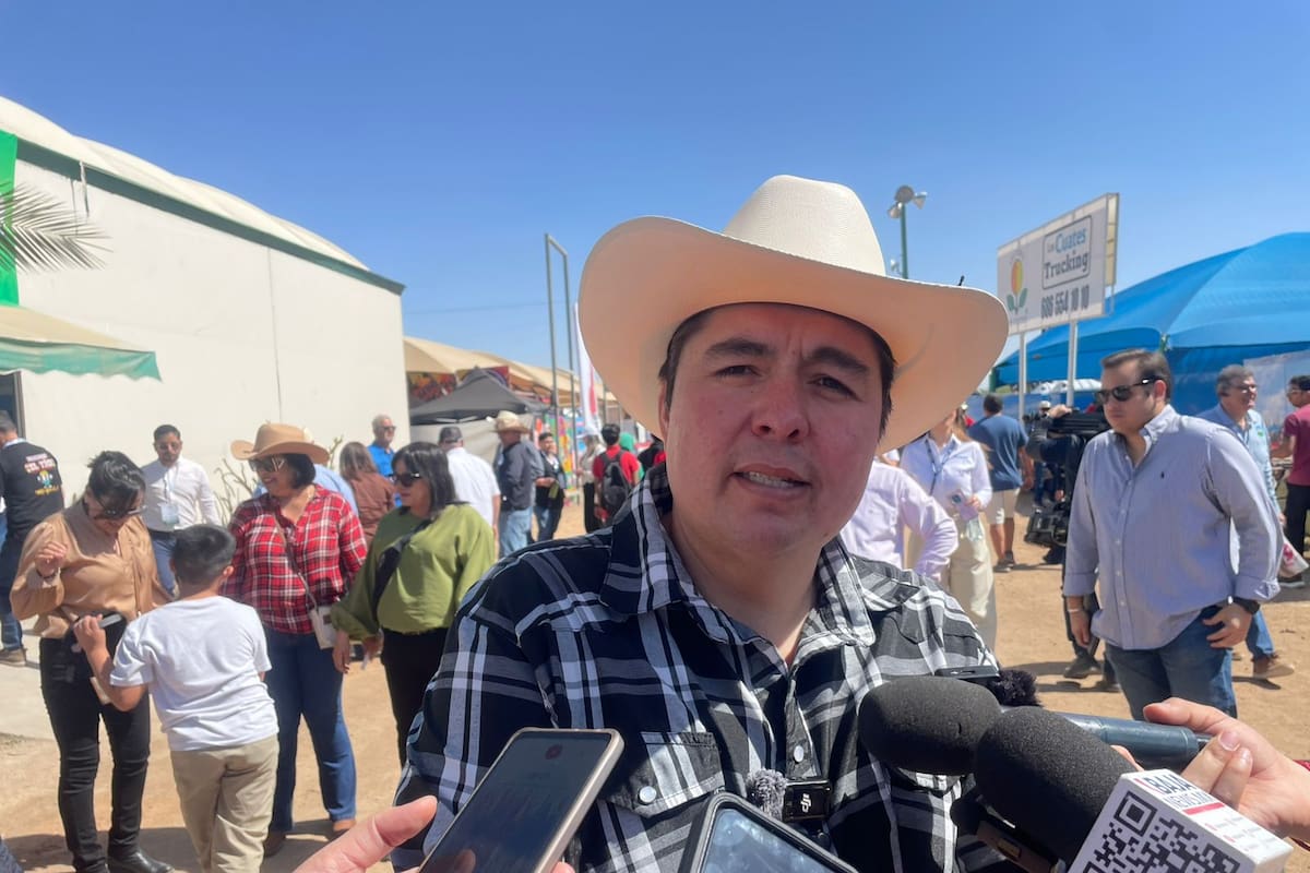 Reforma electoral buscará que los 500 diputados sean electos por voto