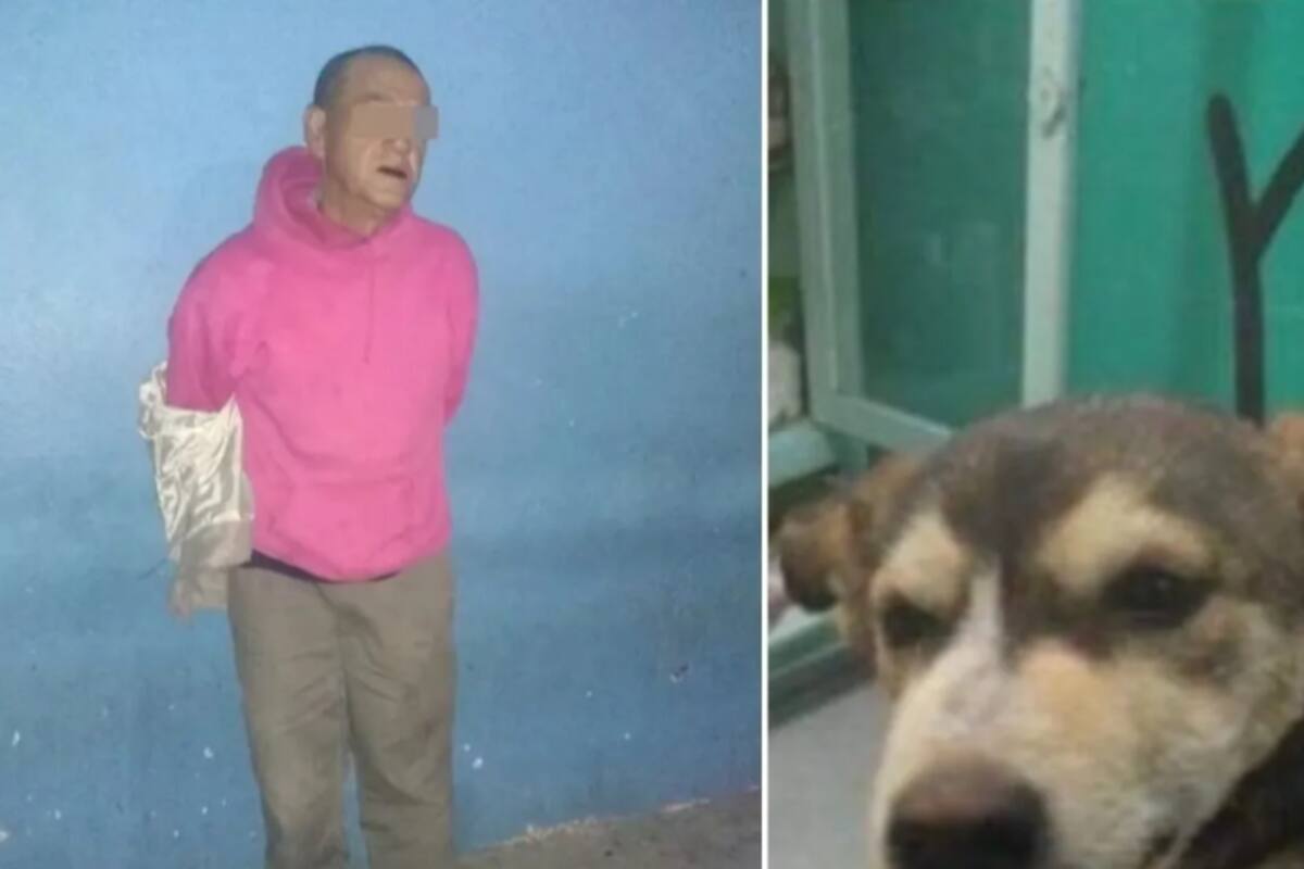 Histórico: Vinculan a proceso y sin derecho a fianza a violador de perrita 'Mati'