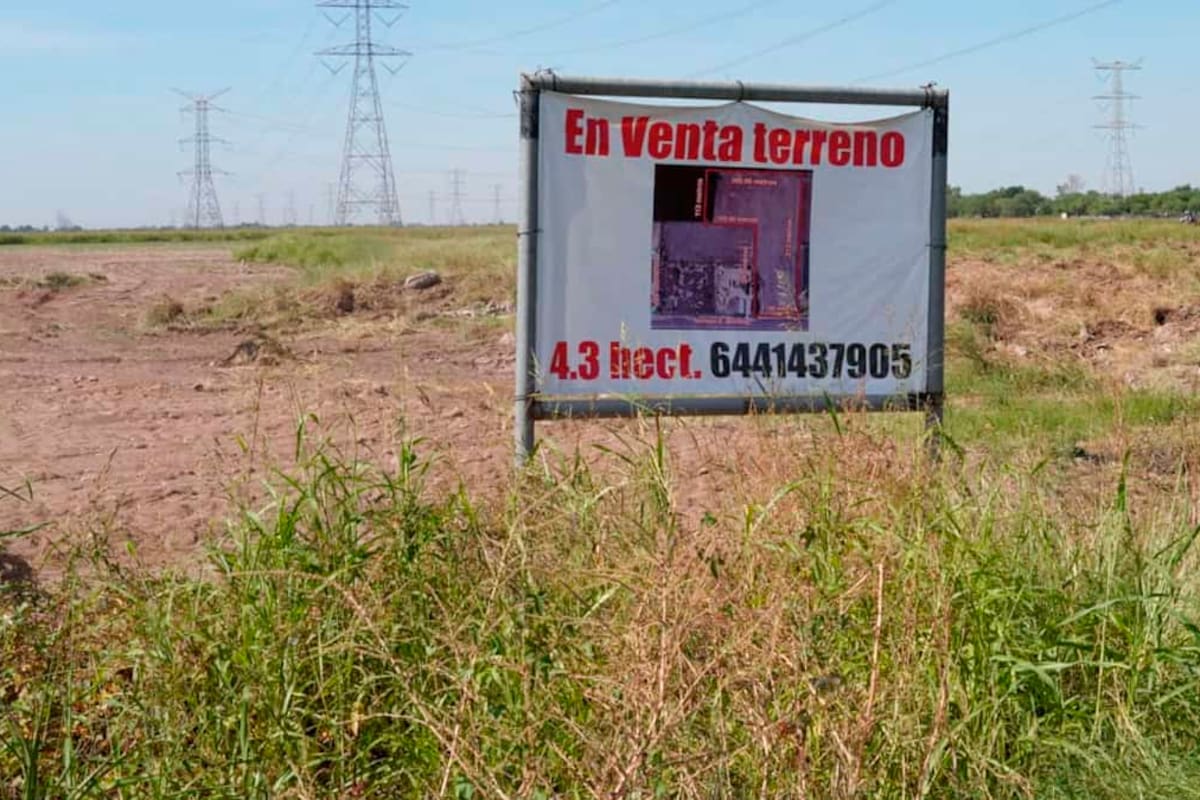 Hay muchos terrenos en venta y renta en el VY