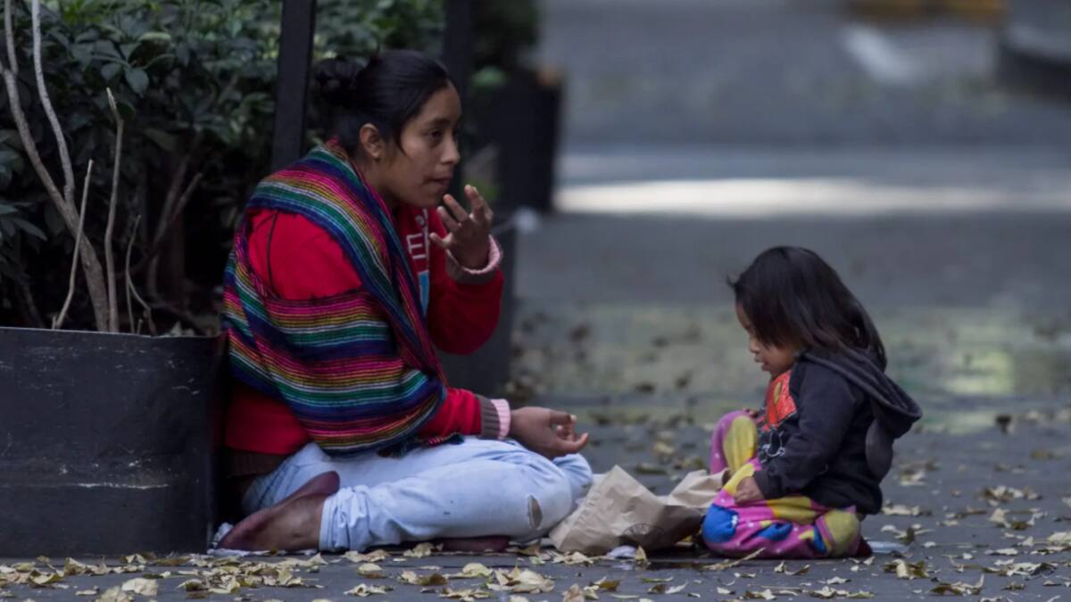 Se estancó el combate al hambre durante el sexenio de López Obrador; repunta la inseguridad alimentaria severa, asegura el INSP