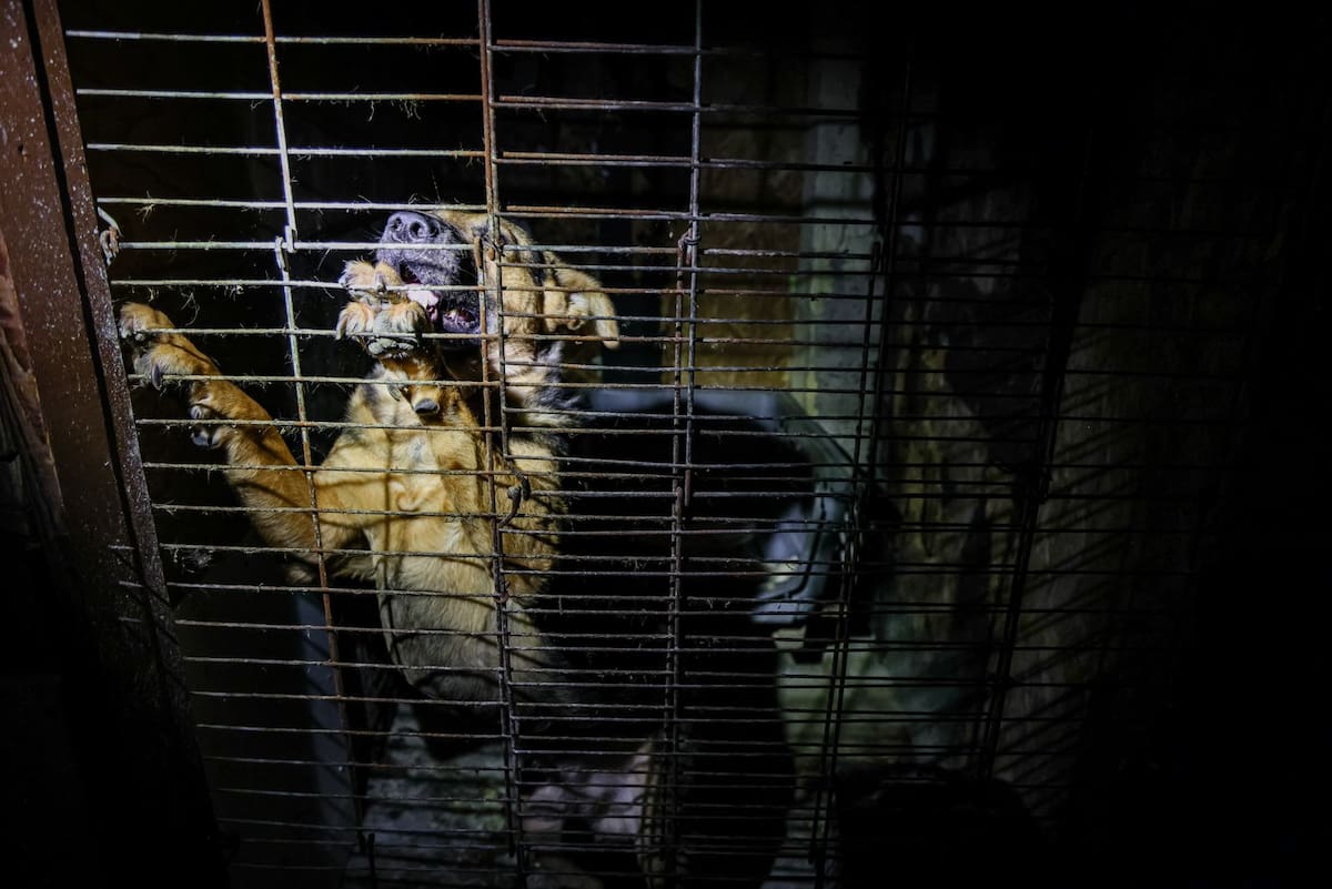 La acción fue ejecutada en el albergue “Ellos son la Razón” A.C., por la Fiscalía General del Estado, con el apoyo del Ayuntamiento de Ensenada. Foto: Cortesía