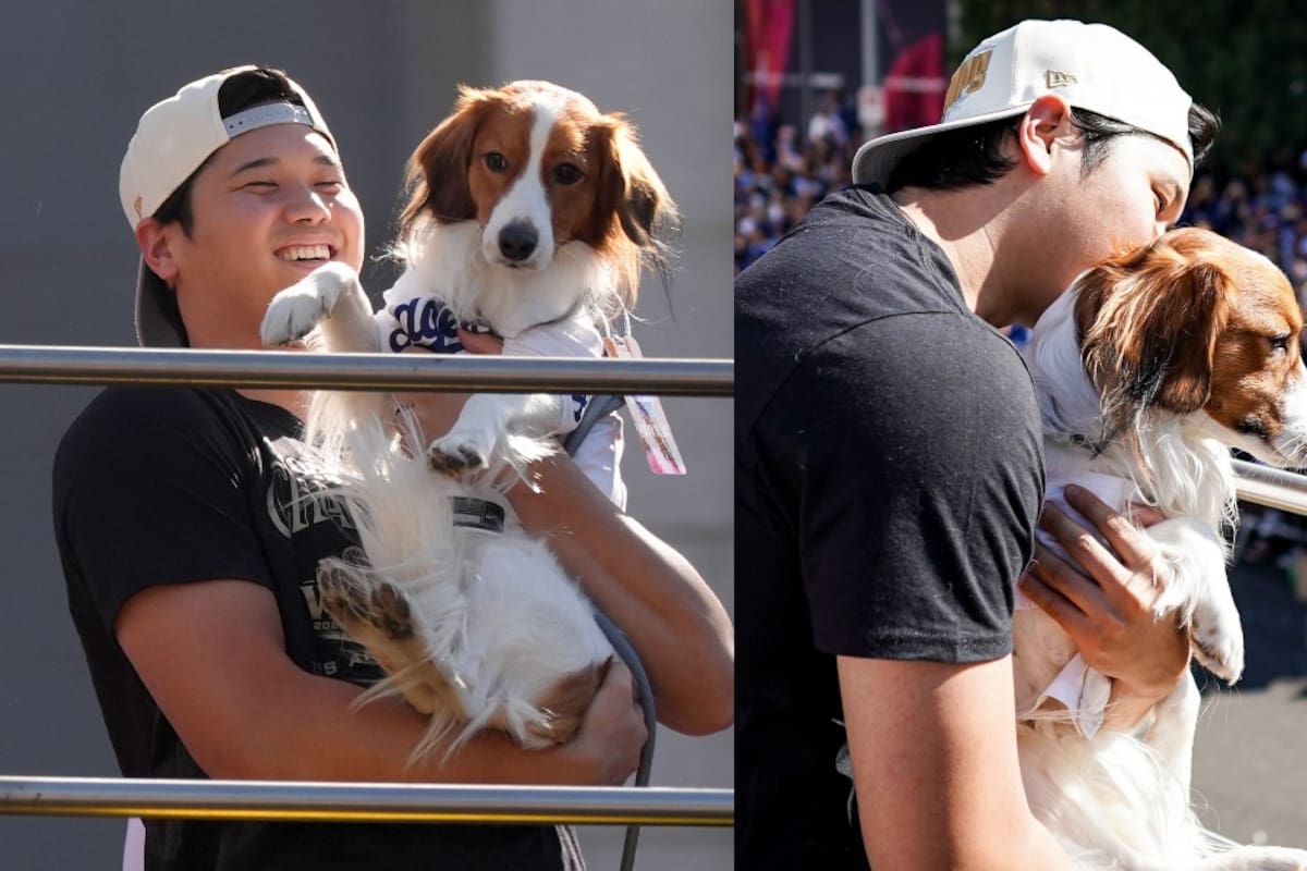 Decoy, mascota de Shohei Ohtani, presente en la celebración de la Serie Mundial con los Dodgers